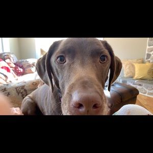 Meet your Posher, Maryn